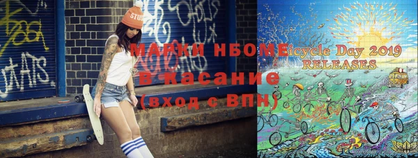 гашик Пестово