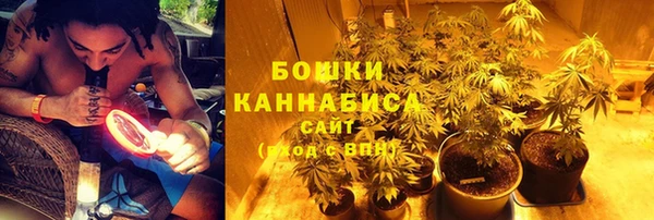 мет Аркадак