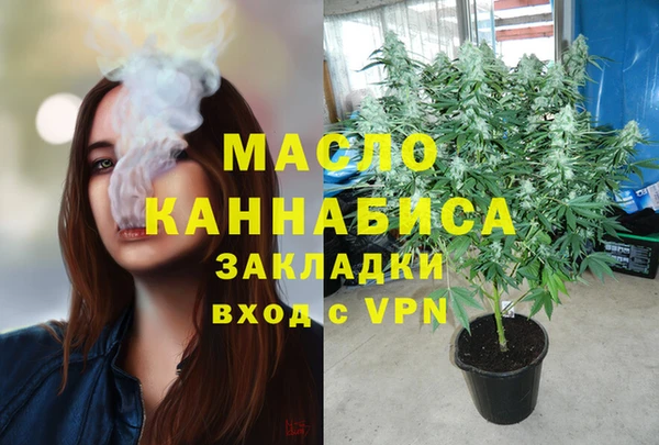 гашик Пестово