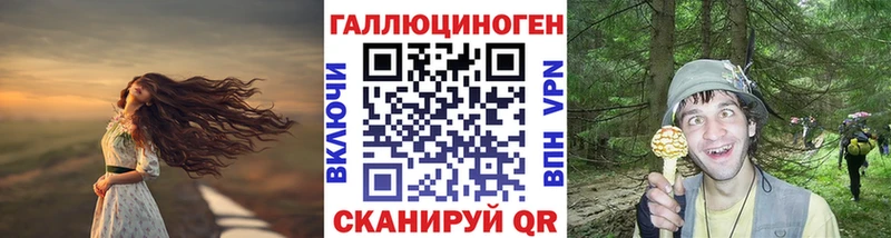 кракен ссылки  Талдом  Галлюциногенные грибы мухоморы 